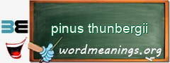 WordMeaning blackboard for pinus thunbergii